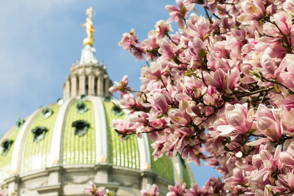 Pennsylvania Introduces Regulatory Changes for Surplus Line Licensees and Policyholder Incentives